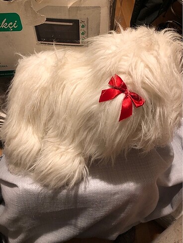 Pelus köpek