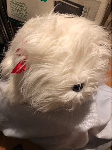 Diğer Pelus köpek
