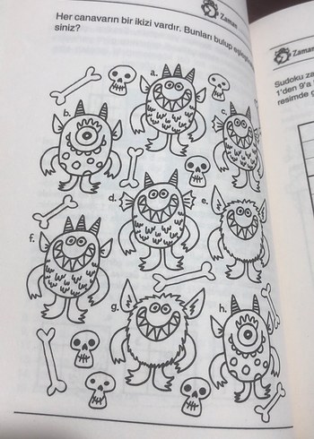 Küçük Dahiler için Zeka ve Matematik Kitapları Seti - Görsel 16