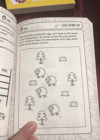 Küçük Dahiler için Zeka ve Matematik Kitapları Seti - Görsel 9