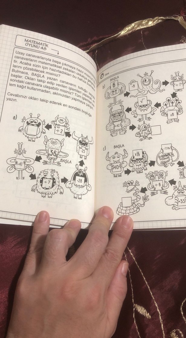 Küçük Dahiler için Zeka ve Matematik Kitapları Seti - Görsel 4