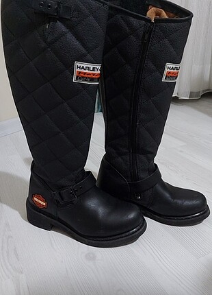 HARLEY- DAVIDSON
