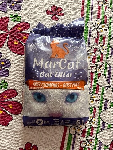 Kedi Kumu