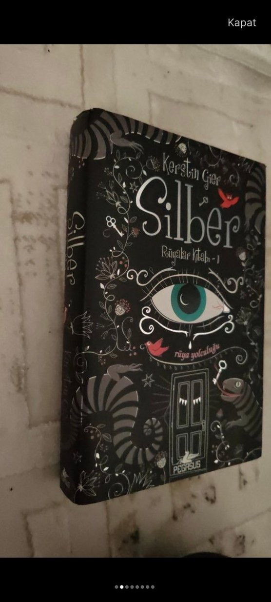 Silber - Rüyalar Kitabı 1 - Görsel 2