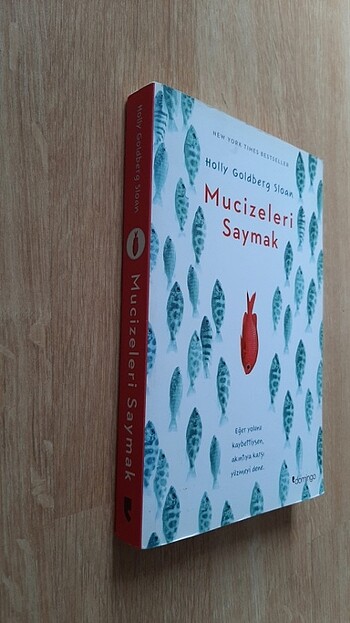 Mucizeleri Saymak - Jolly Goldberg Sloan