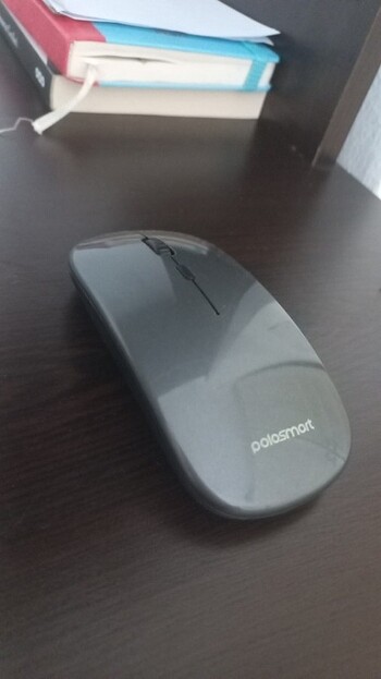 Mouse