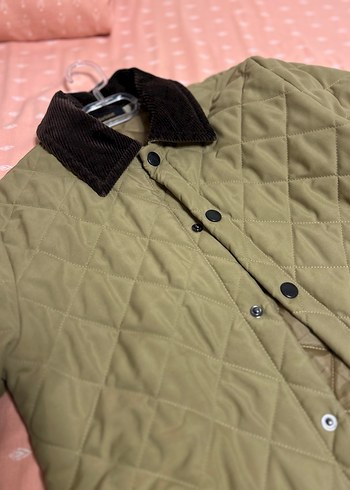 Barbour 32