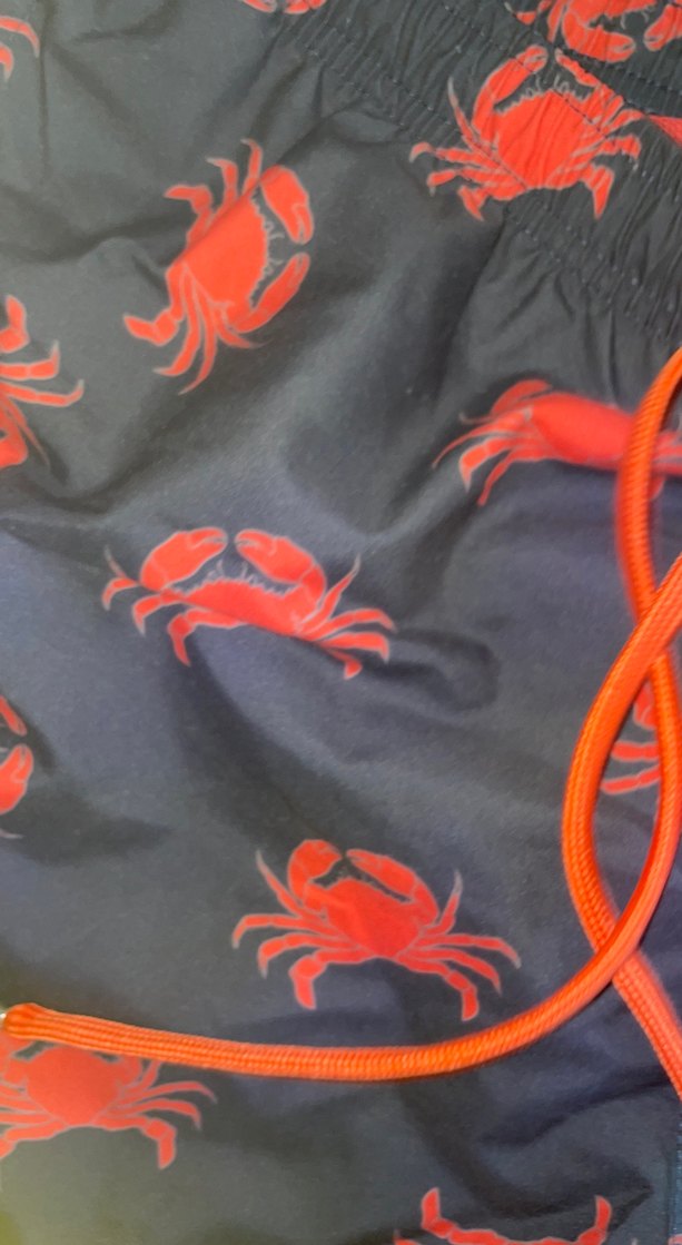 Kırmızı Baskılı Erkek Mini Mayo Şort - Görsel 4