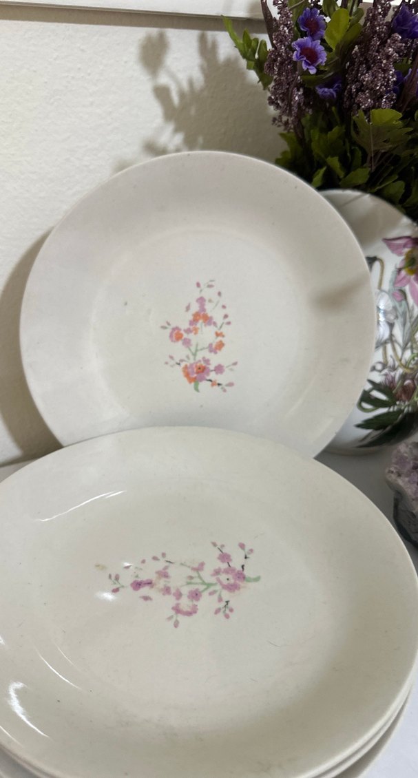 Sümerbank Pastel Çiçek Desenli Beyaz Tabaklar - Görsel 2