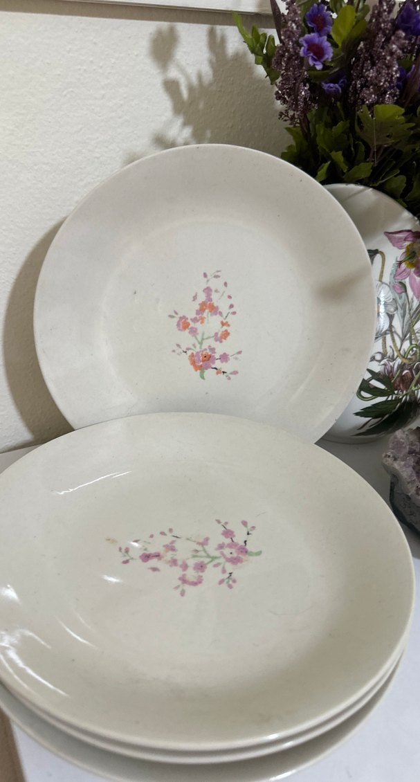 Sümerbank Pastel Çiçek Desenli Beyaz Tabaklar - Görsel 3