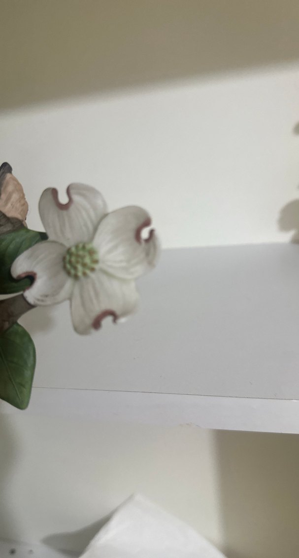 Franklinmint Sarı ve Siyah Kuş Figürlü Dekoratif Biblo - Görsel 5