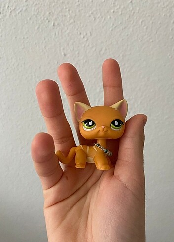 lps shorthair 790/525