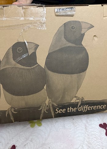 Viewsonic xg2431 240hz GAMING monitör - Görsel 9