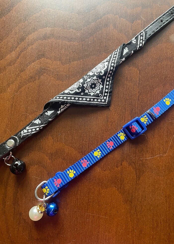 Kedi tasması 2 adet - Görsel 2