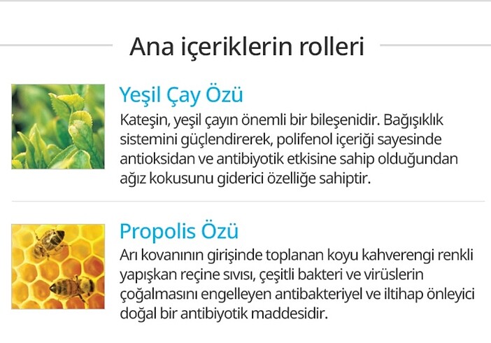 Ağız diş seti