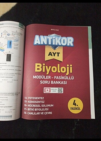 antikor ayt biyoloji - Görsel 2