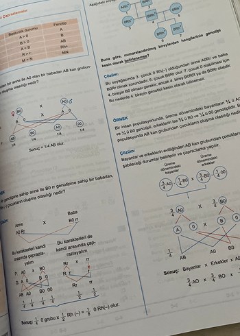 Biyoloji Konu Anlatımı Kitabı - Görsel 2