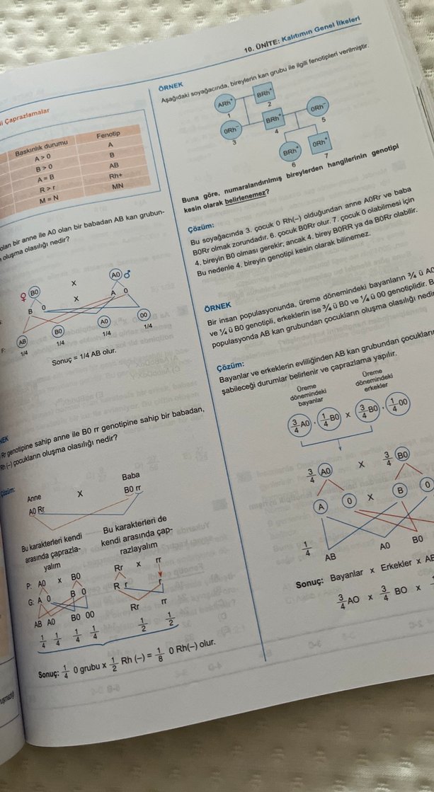 Biyoloji Konu Anlatımı Kitabı - Görsel 2