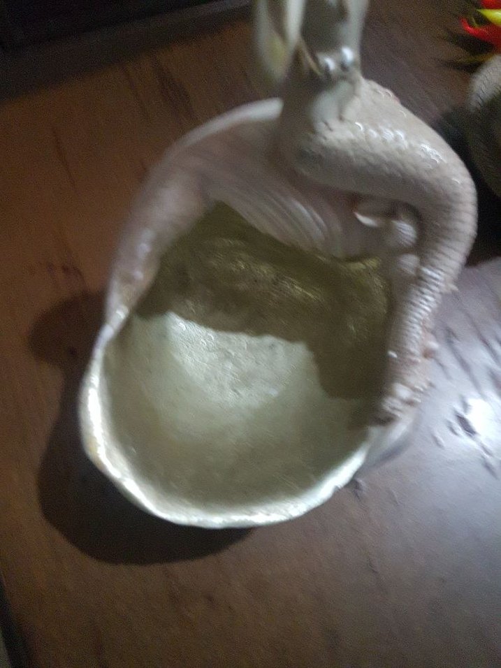 İnci Beyazı Deniz Kızı Biblosu - Görsel 4