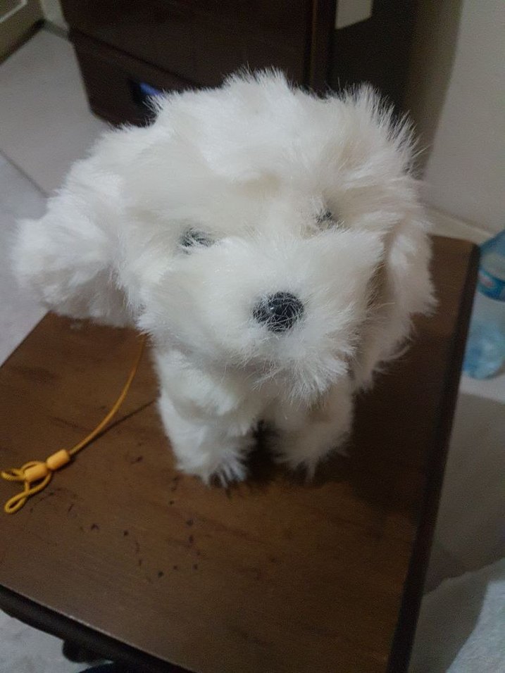 Beyaz Peluş Oyuncak Köpek - Görsel 2