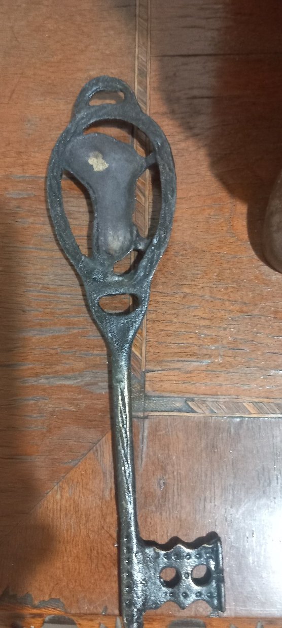 aslan figürlü prinç anahtar - Görsel 2