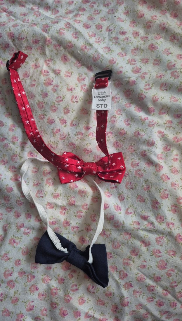 Çocuklar İçin Klasik Papyon Seti - Görsel 2