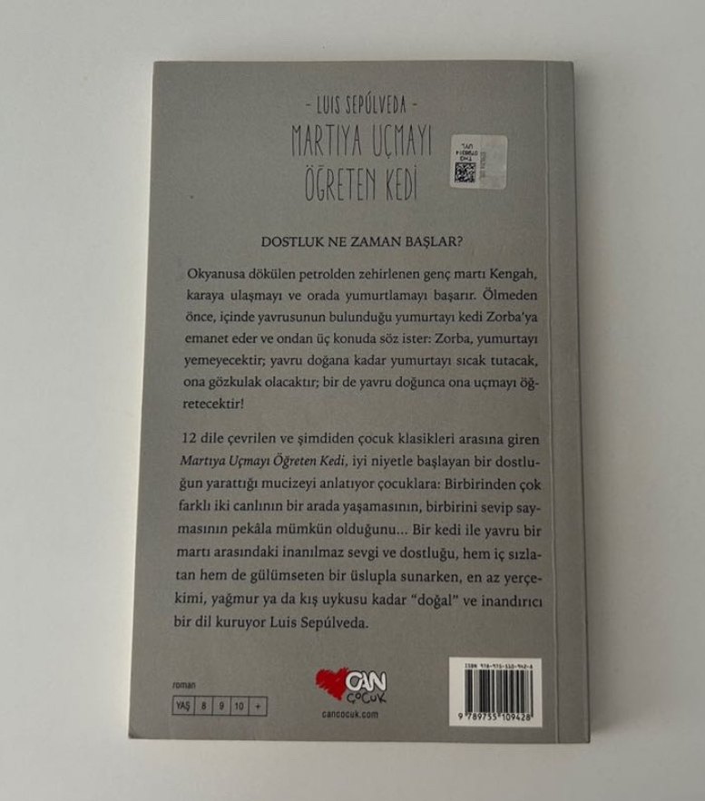 Martıya Uçmayı Öğreten Kedi - Luis Sepúlveda - Görsel 2