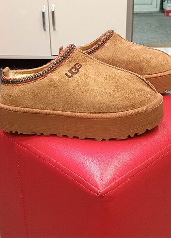 40 Beden kahverengi Renk UGG TAZZ