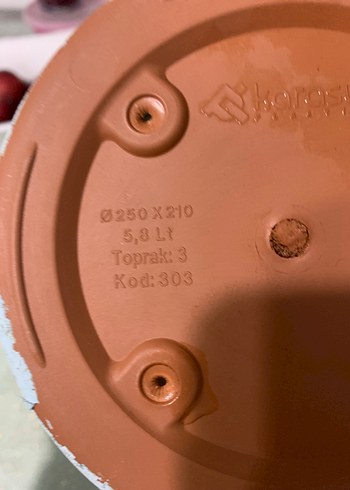 Beyaz Pastel Desenli Saksı - Görsel 3