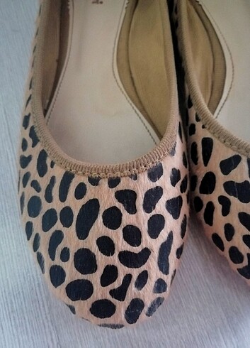 Leopar babet