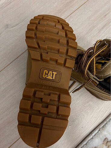 39 Beden Cat Bot