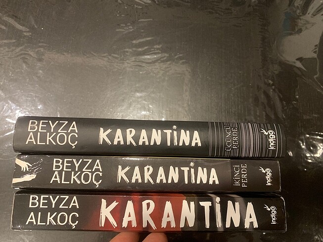 Beyza Alkoç Karantina