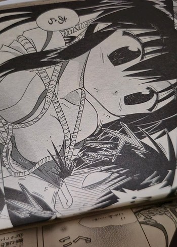  Beden Renk Nagasarete Airantou Japonca Manga