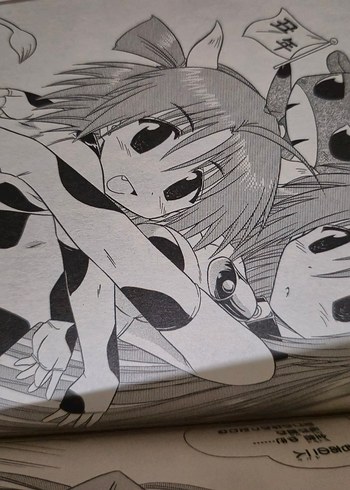 Nagasarete Airantou Japonca Manga - Görsel 6