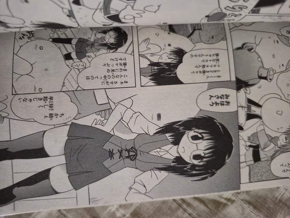 Nagasarete Airantou Japonca Manga - Görsel 5