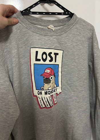 Gri Uzun Kollu Baskılı Kadın Sweatshirt - Görsel 3