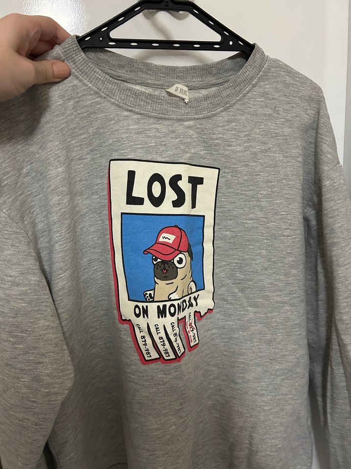 Gri Uzun Kollu Baskılı Kadın Sweatshirt - Görsel 3