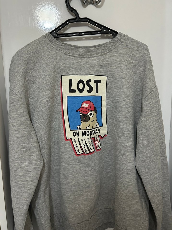 Gri Uzun Kollu Baskılı Kadın Sweatshirt - Görsel 2