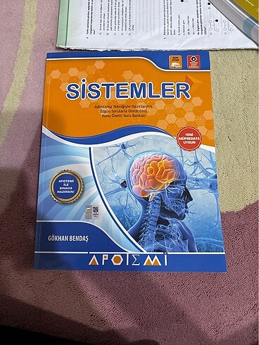 Apotemi sistemler