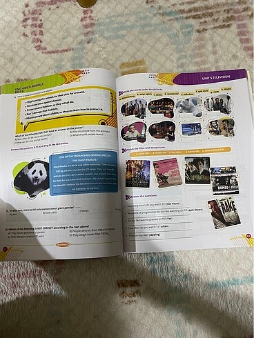  Beden Renk 7. Sınıf ingilizce konu ve test kitabı
