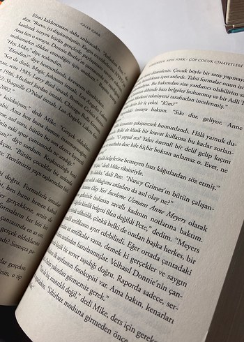 Surrender, New York - Çöp Çocuk Cinayetleri - Görsel 3