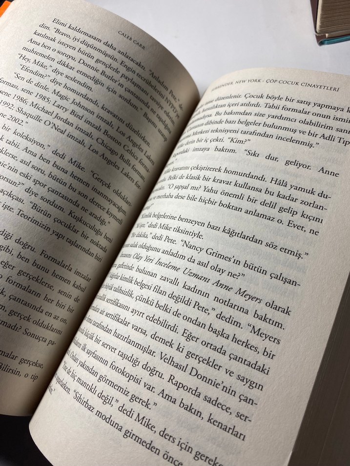 Surrender, New York - Çöp Çocuk Cinayetleri - Görsel 3