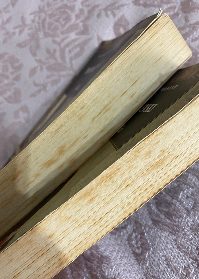 Budala 1/2 - Görsel 4