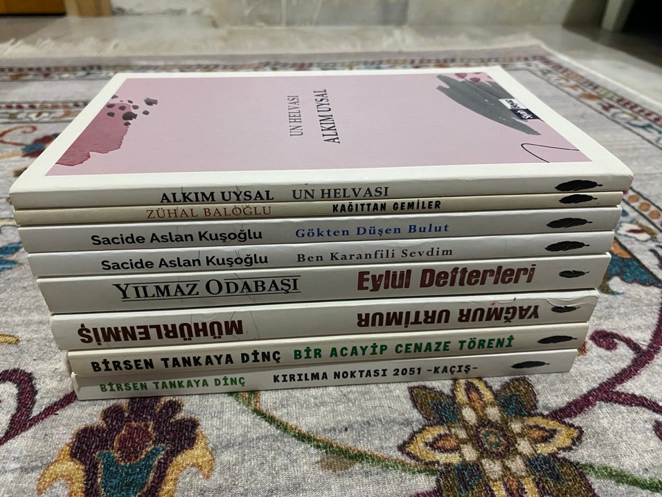 Çeşitli Romanlar Seti - Görsel 2