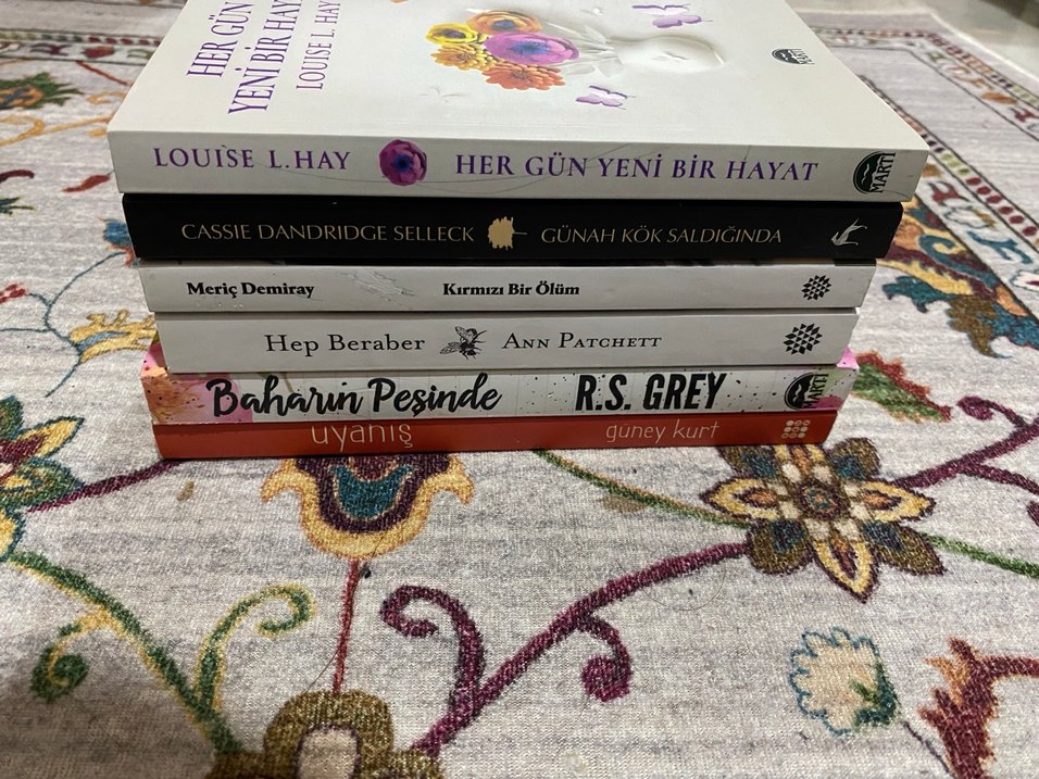 Çeşitli Romanlar Seti - Görsel 2