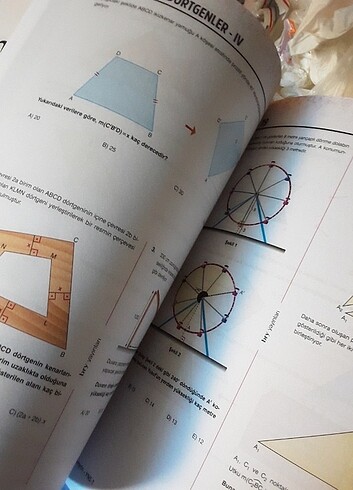 Beden Renk Birey tyt matematik yeni nesil sorular
