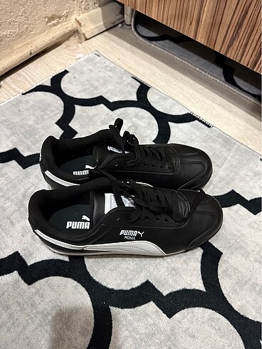 Puma Puma roma