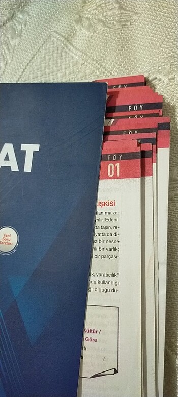  Beden Renk Limit AYT edebiyat konu anlatım föyleri