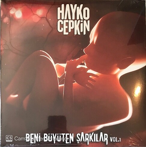 hayko cepkin beni büyüten şarkılar sıfır jelatinli plak