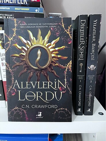Beden Dikenler Şehri Serisi